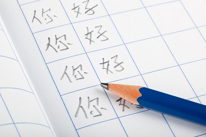加强汉字书写 筑牢学生综合素质之基